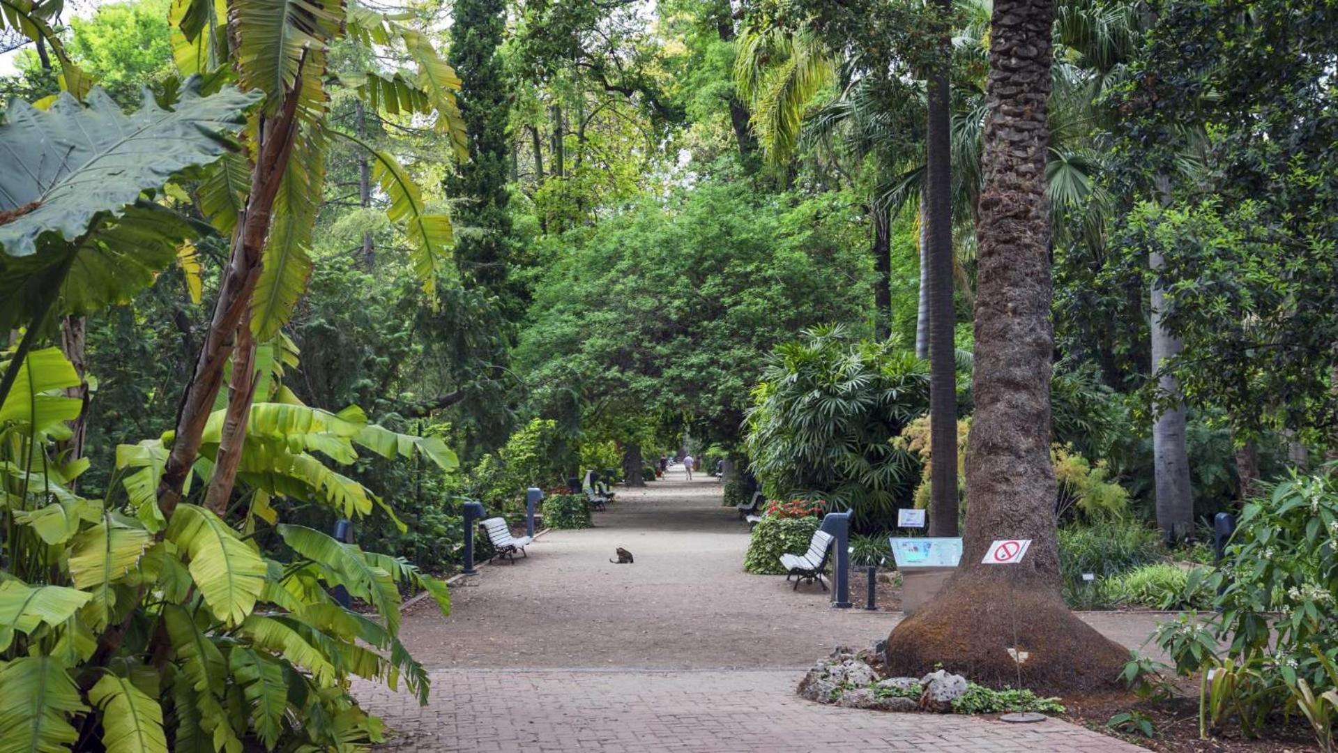 Luxotica Gardens Valencia Διαμέρισμα Εξωτερικό φωτογραφία